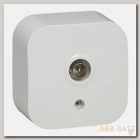 Телевизионная розетка Quteo IP 20 Белый