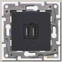 Зарядное устройство Legrand Etika антрацит 672694