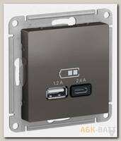 Зарядное устройство USB+Type C Schneider Electric Atlas Design сталь