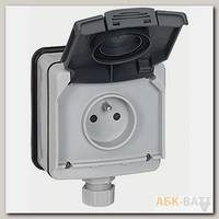 Розетка 2К+3 с защитными шторками Plexo 16 A 250 В IP 66 серая