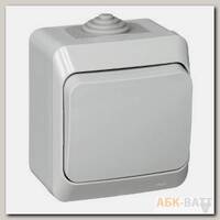 Выключатель одноклавишный 10АХ IP44 серый Schneider Electric Этюд BA10-041C