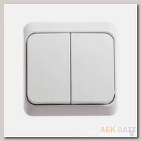 Выключатель двухклавишный с подсветкой 10АХ белый Schneider Electric Этюд BA10-006B